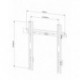 Suporte LCD/Plasma Fitek FF 37